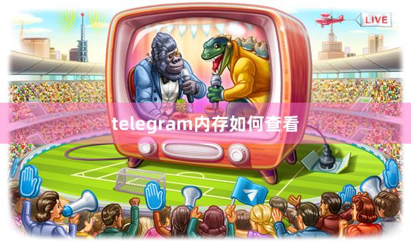 telegram内存如何查看