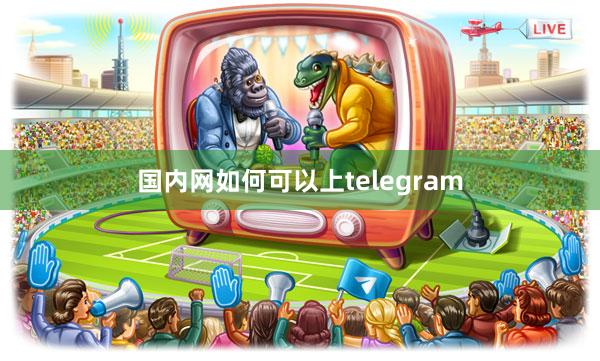 国内网如何可以上telegram