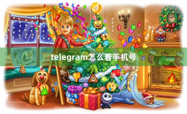 telegram怎么看手机号